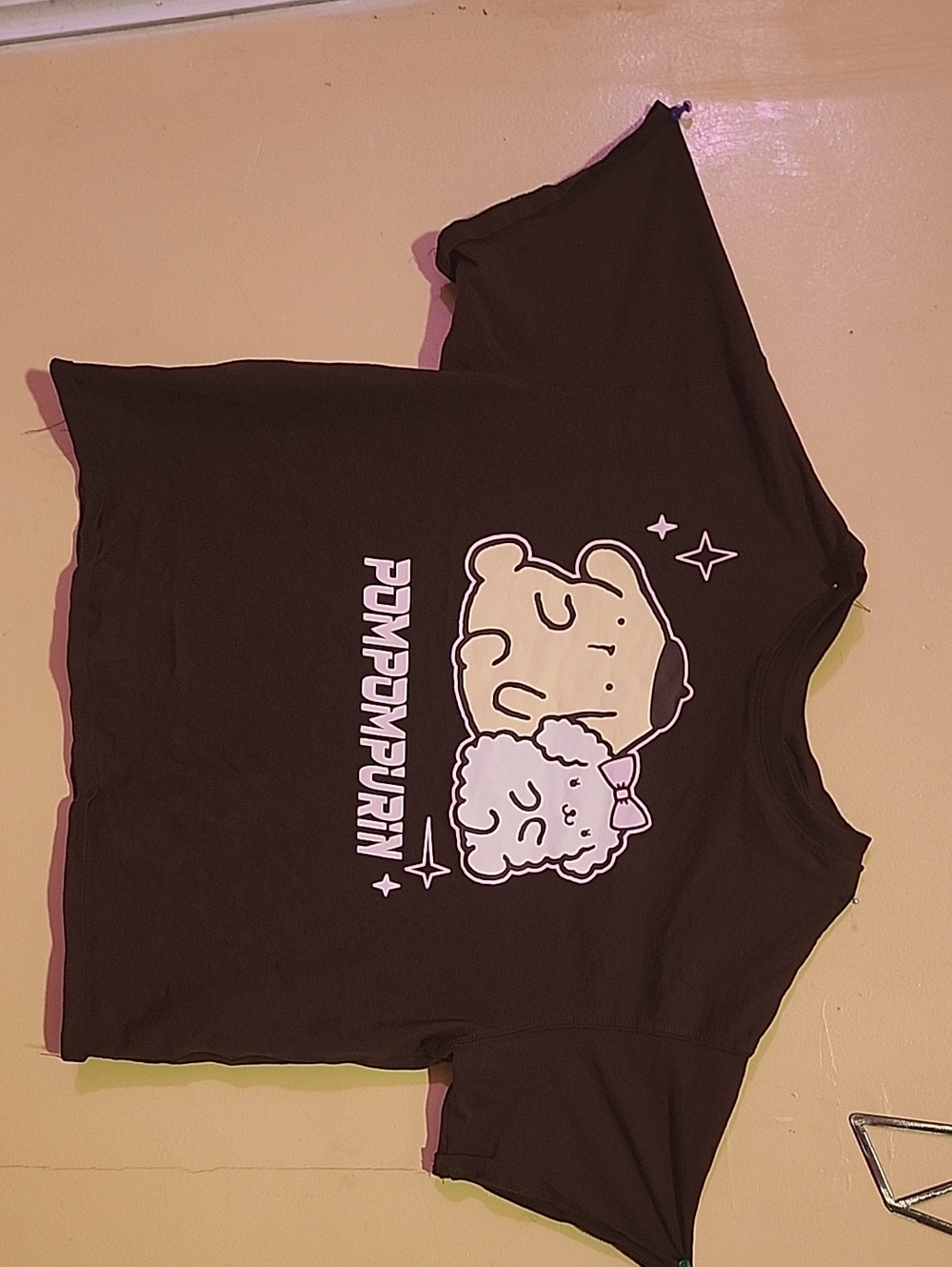 Sanrio Black Short Sleeve Tee with Pompompurin & Muffin Tee (Origionally 20$)